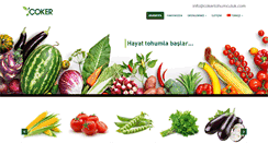 Desktop Screenshot of cokertohumculuk.com